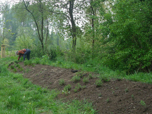 de kruidenheuvel