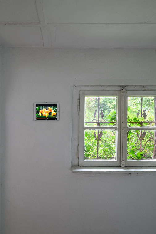 Marie Henin, Dragutin Banic, KARUSSELL, Ausstellung, Kunstraum K634, Köln, Kurator Andreas Keil, 2025