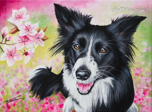 Hundegemälde "Border Collie im Frühling - Uma"