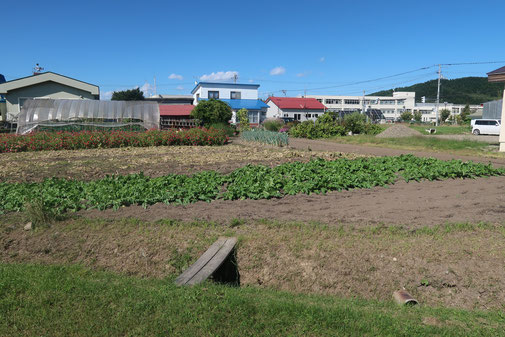 佐呂間町幸町6番1売地0円