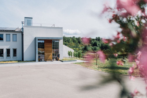 Hochzeitfotograf in Freiburg Tomo Takemura, Weingut Köbelin