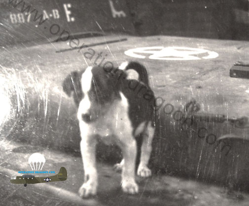 Little "ROSIE" on the 887th Airborne Jeep hood few days after southern France landing.