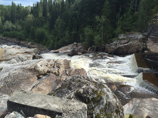 Lachs angeln Norwegen, in großen Flüssen, in Straumen in Meeresbuchten mit Fliege und Blinker, hier kleiner Fluss