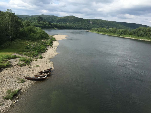 Lachs angeln Norwegen, in großen Flüssen, in Straumen in Meeresbuchten mit Fliege und Blinker, hier großer Fluss