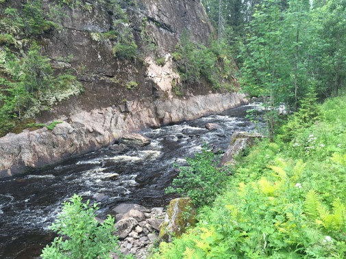 Lachs angeln Norwegen, in großen Flüssen, in Straumen in Meeresbuchten mit Fliege und Blinker, hier kleiner Fluss