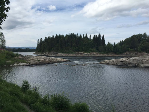 Lachs angeln Norwegen, in großen Flüssen, in Straumen in Meeresbuchten mit Fliege und Blinker, hier großer Fluss