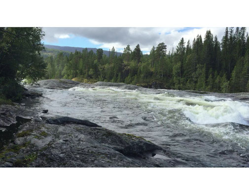 Lachs angeln Norwegen, in großen Flüssen, in Straumen in Meeresbuchten mit Fliege und Blinker, hier großer Fluss