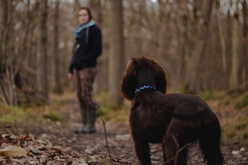 Hundetraining im Zollernalbkreis