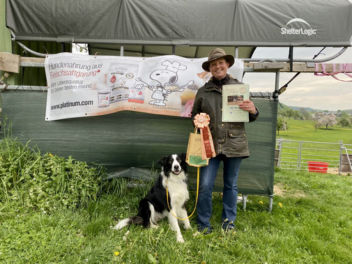 DRK Eignungstest Rettungshund