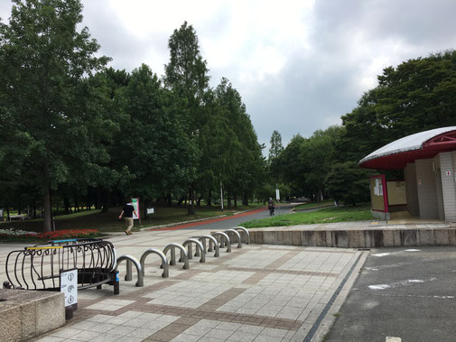 久宝寺緑地BBQエリアへと続く道