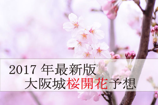大阪城桜開花予想