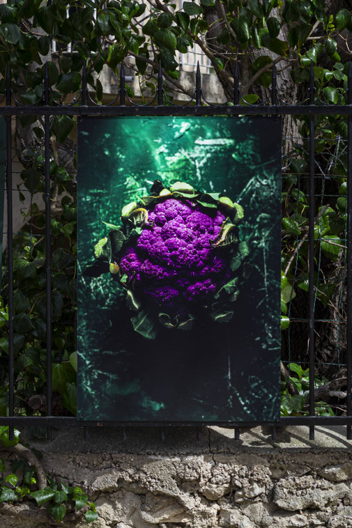 exposition photographie culinaire - Virginie Dion