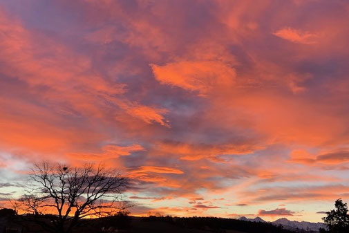 Morgenrot