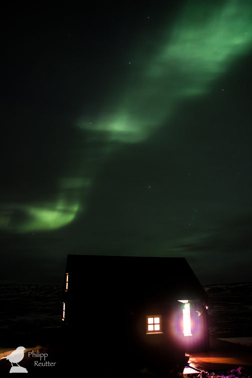 Nordlicht in Island