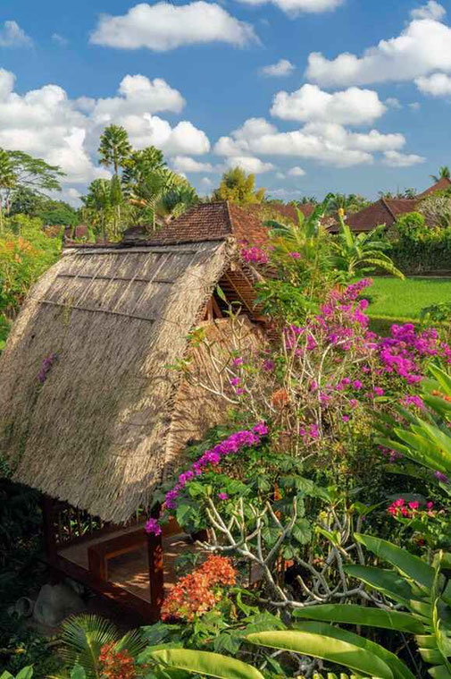 Ubud real estate for sale