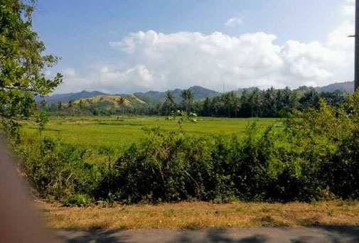 Land for sale in Belongas Bay, South Lombok. For sale by owner