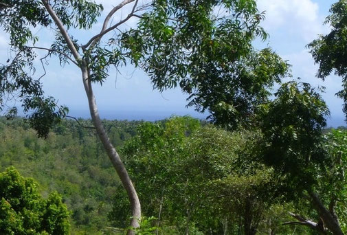 Nusa Penida land for sale near the village of Ped