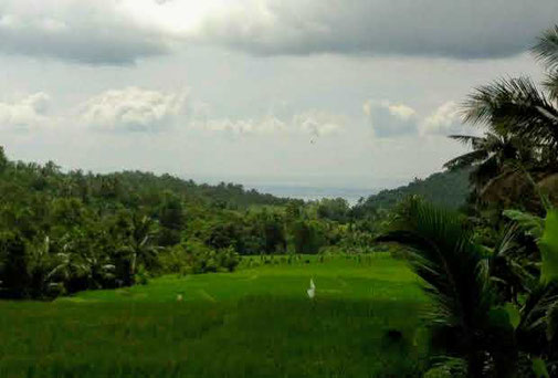 Lombok land for sale