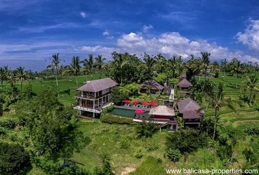 Mountain resort for sale just about half an hour driving North of Ubud.