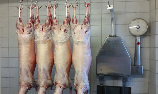 Maltataler Frischfleisch ganzjährig nach Bedarf von der Fam. Truskaller