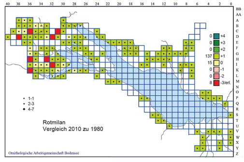 Bestandsentwicklung des Rotmilans am Bodensee von 1980/81 bis 2010-12.