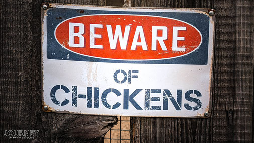 Schild mit der Aufschrift: Beware of Chickens