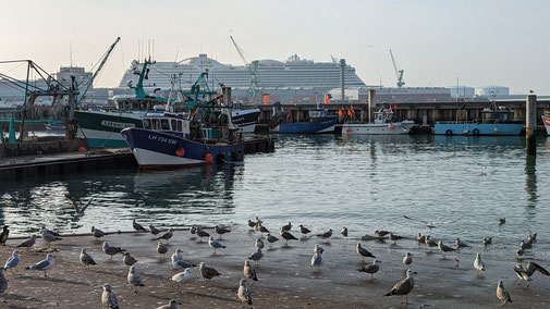 Der Hafen von Le Havre, im Hintergrund steht ein Kreuzfahrtschiff, die AIDA prima.