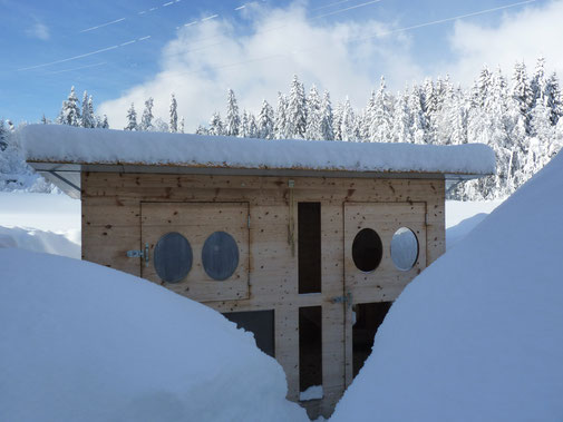 Unser Hühnerstall gehüllt in Schneeberge, Winter 2019