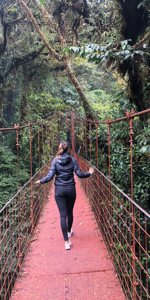 Hängebrücke in Monteverde