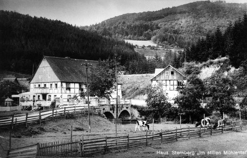 Ferienidylle: Pension Sternberg in Sallinghausen