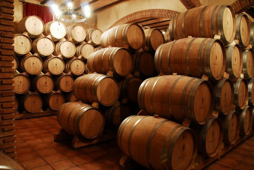 Bodega Renalterra, Burgos