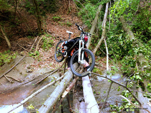 chi sposa la passione  per la MTB deve fare i conti anche con questi inconvenienti...e per non farci mancare niente, appena superato l'ostacolo ci troviamo la famigliola di cinghiali a farci i complimenti.....ufffff che fortuna!!