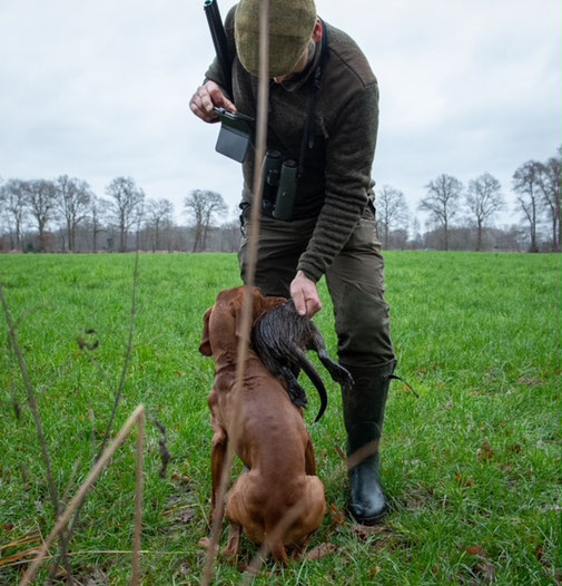 Hunt & Hound - Jagdhund-Seminar zur Vorbereitung HZP 