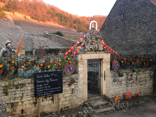 Nos décorations devant notre premier cru ''Derrière Chez Edouard'' lors de la ST-Vincent tournante à SAINT AUBIN