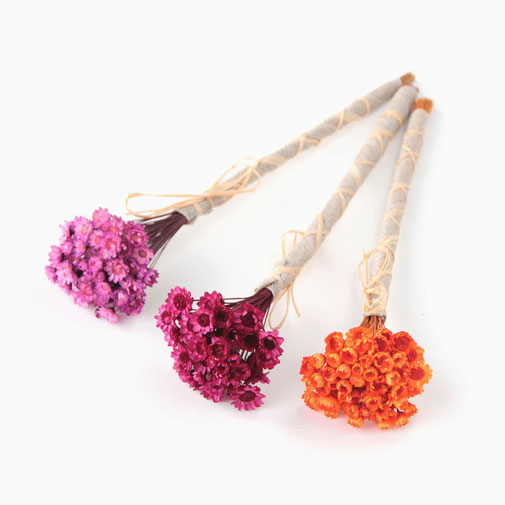 suho cvetje dried flowers trockenblumen