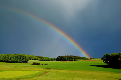 L’arc en ciel semblable à une émeraude nous fait penser au règne grandiose de paix et de justice de Jésus sur la terre. La couleur verte de l’émeraude