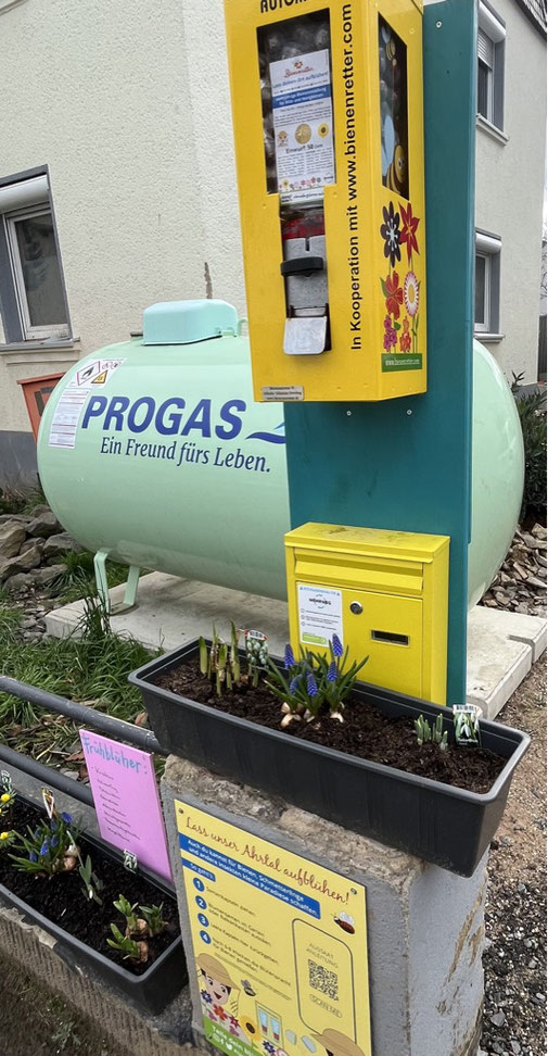 Der erste gelbe Bienenautomat in Bad Neuenahr im Ahrtal hängt.