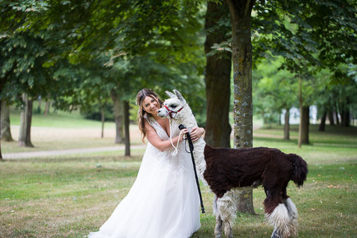 Eine Braut mit Lama im Schlosspark des Schloss Philippsruhe in Hanau.