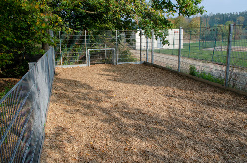 Bilder unserer Einrichtung - 1518188353s Webseite!