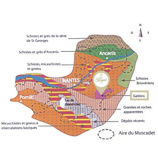 Vignoble de Nantes, vignoble nantais sur des terre de Gabbro, près des terres de schistes, de granites et roches, un terroir unique dans le monde qui fait un grand vin blanc de garde de très grande qualité, unique au monde - vin unique au monde qualité