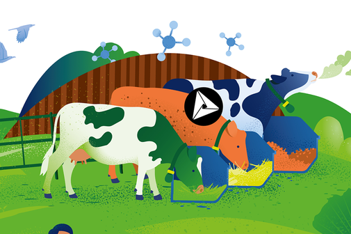 Ausschnitt der Illustration: verschiedene Futtermittel für Kühe © Michael Stünzi