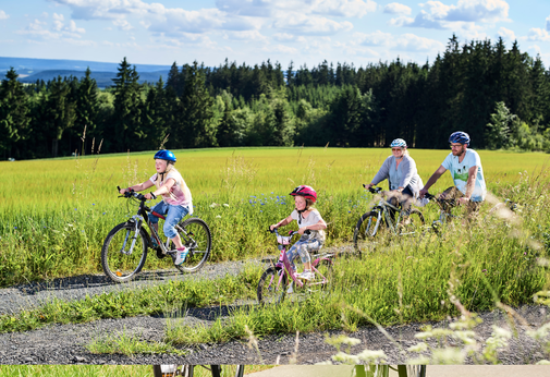 Eine Familie radelt zwischen Feldern und Wald