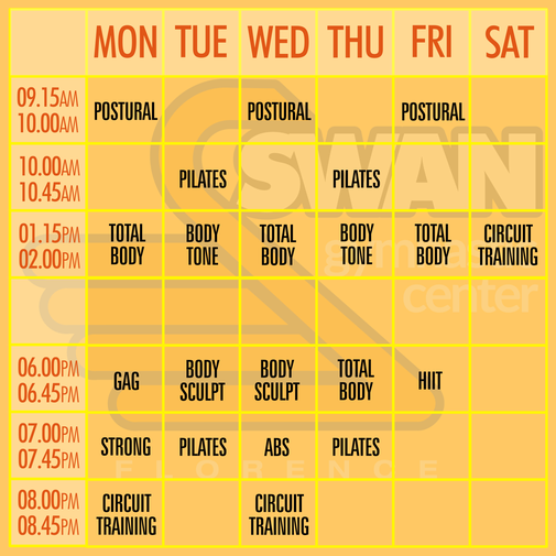 SWAN GYMNASTIC CENTER | Schedule 