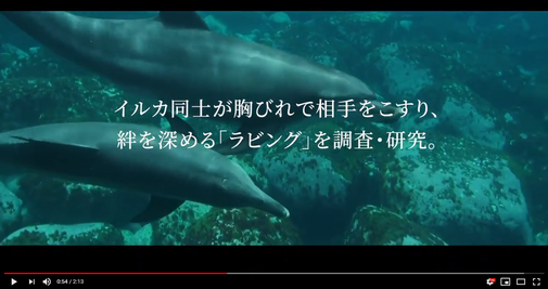近畿大学農学部水産学科 海棲哺乳類学研究室 近畿大学農学部水産学科海棲哺乳類学研究室 近畿大学農学部水産学科 海棲哺乳類学研究室 近畿大学農学部水産学科海棲哺乳類学研究室