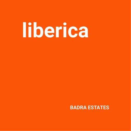 Liberica