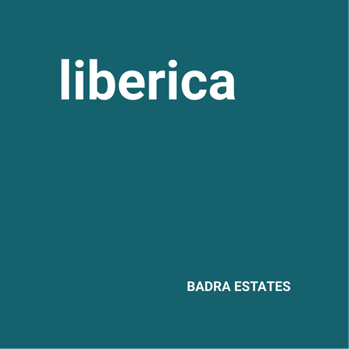 Liberica