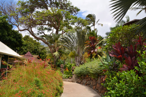 Maui Tropical Plantation