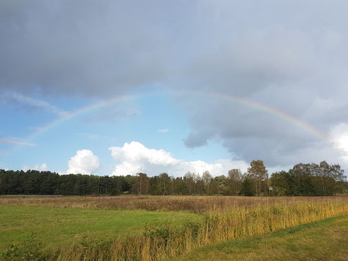 Regenbogen über unserem Feld