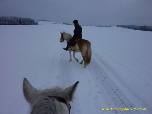 Winterausritt, vielen Dank für das Foto :-)