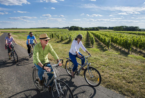 balade-vélo-vignoble-vallee-Loire-oenotourisme-sortie-insolite-Rendez-Vous-dans-les-Vignes